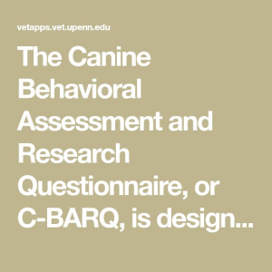 Canine Behavior Research: Insights from Harvard Experts