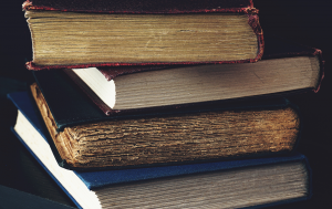Reading Like a Translator: Insights from Damion Searls